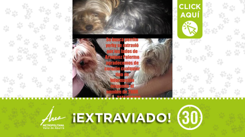 'Thor' se perdió por el sector conocido como Palermo en Aranjuez