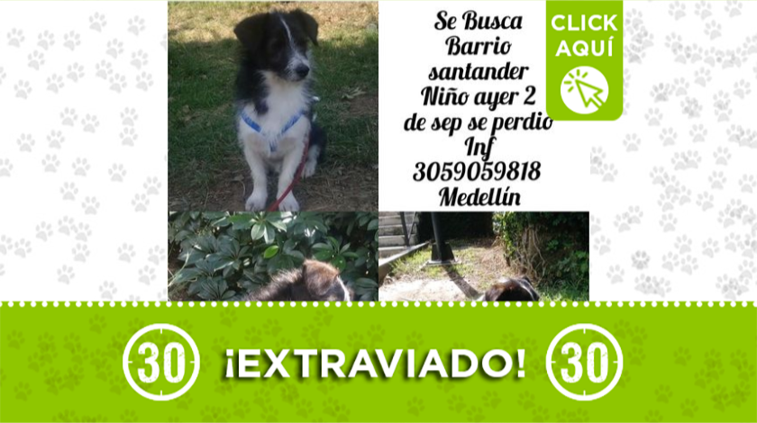 'Niño' se extravió en el barrio Santander