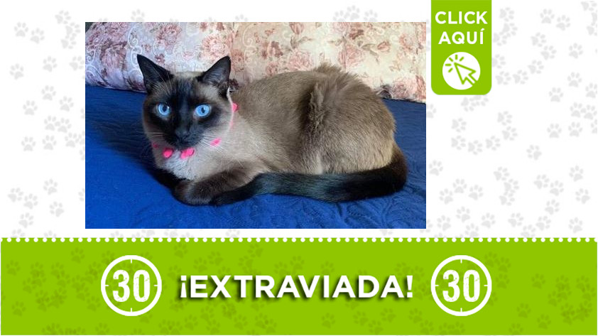 'Hidden' perdida en Niquía