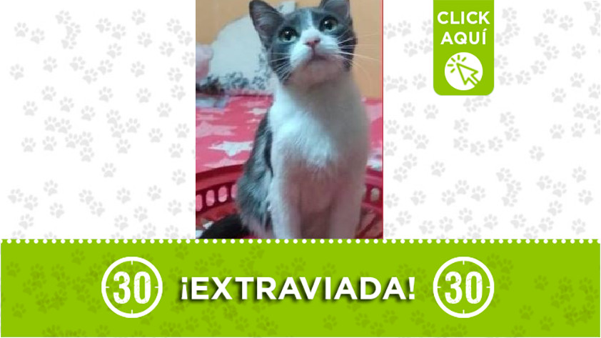 'Isis' perdida en Belén