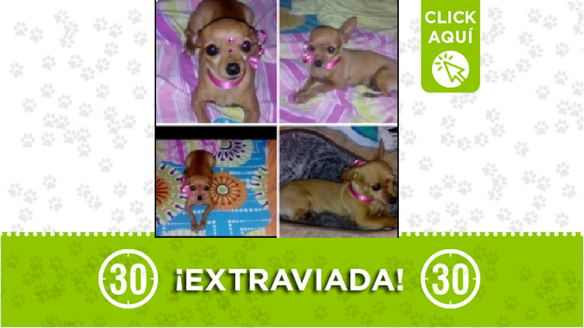 'Italia' perdida en Girardota