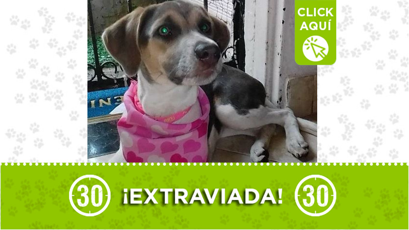 'Kiara' perdida en La Libertad