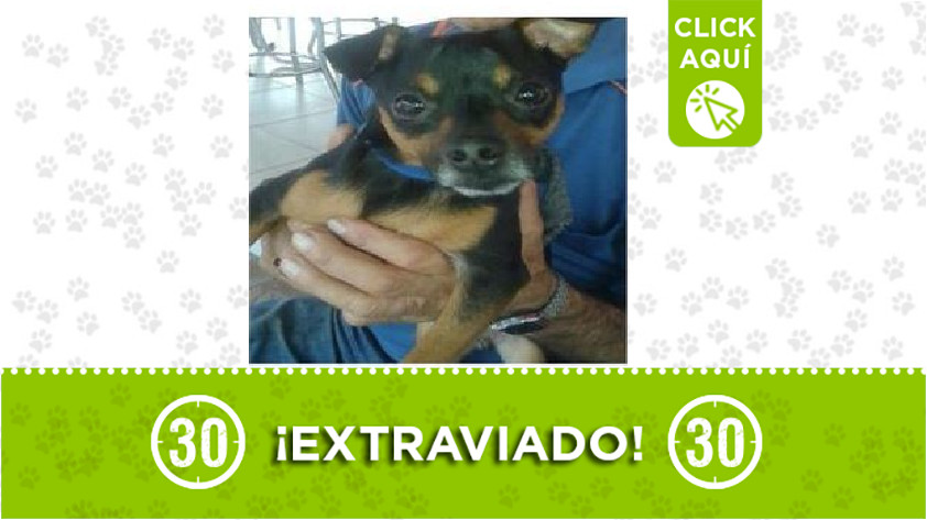 'Lucas' perdido en Doce de Octubre