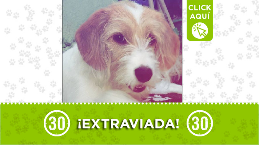 'Martina' perdida en Robledo