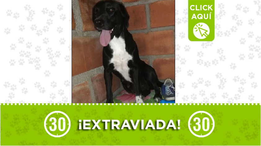 'Negra' perdida en Tablaza