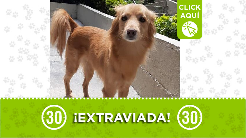 'Niña' perdida en Calazanía