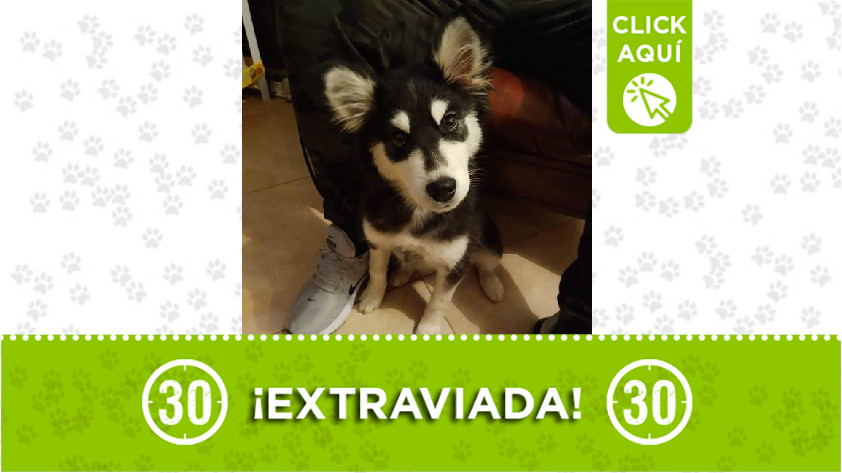 'Niña' perdida en Robledo