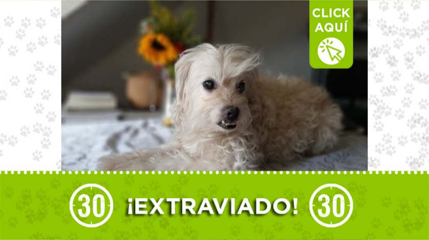 'Niño' perdido en Loreto