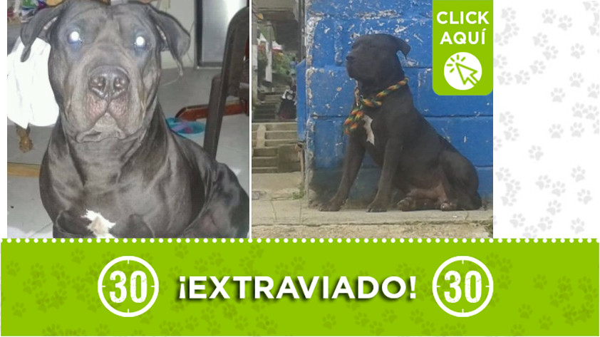 'Orion' perdido en San Antonio de Prado