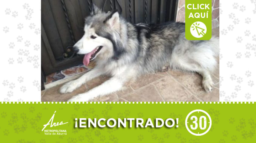 Encontrado en barrio Miramar