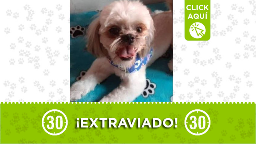 'Raily' perdido en Itagüí