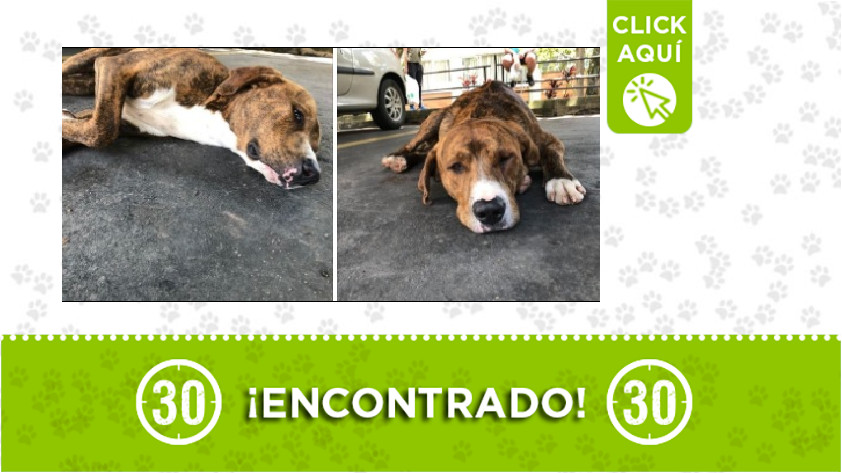 Encontrado en Calasanz