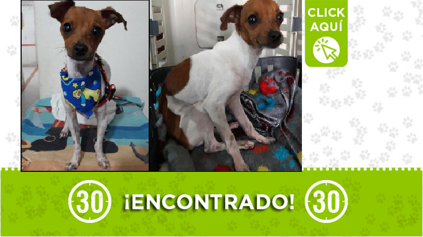 Encontrado en La Estrella