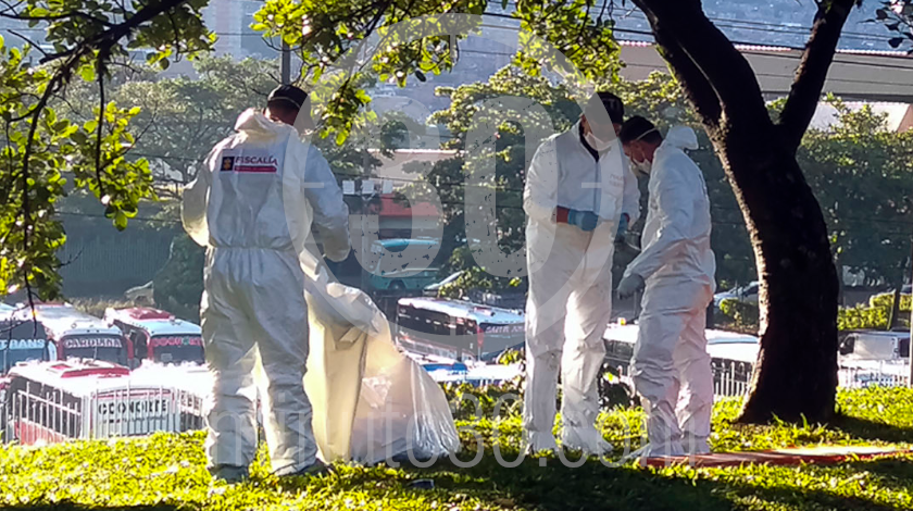 EN VIDEO: ¡Qué impresión! Amaneció un hombre colgado de un árbol en el sector de Caribe 8 persona se quito la vida en el barrio Caribe 05 08 2020 3