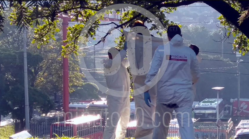 EN VIDEO: ¡Qué impresión! Amaneció un hombre colgado de un árbol en el sector de Caribe 6 persona se quito la vida en el barrio Caribe 05 08 2020 5