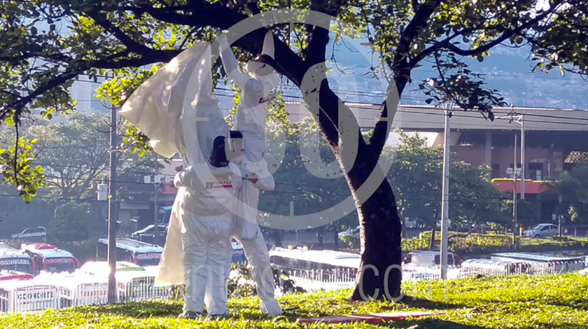 EN VIDEO: ¡Qué impresión! Amaneció un hombre colgado de un árbol en el sector de Caribe 7 persona se quito la vida en el barrio Caribe 05 08 2020 6