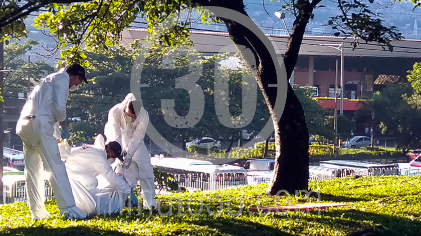 EN VIDEO: ¡Qué impresión! Amaneció un hombre colgado de un árbol en el sector de Caribe 9 persona se quito la vida en el barrio Caribe 05 08 2020 8