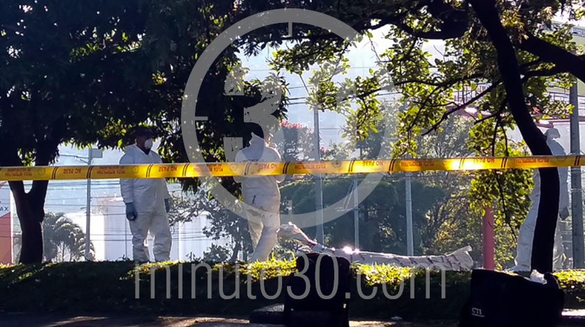 EN VIDEO: ¡Qué impresión! Amaneció un hombre colgado de un árbol en el sector de Caribe 10 persona se quito la vida en el barrio Caribe 05 08 2020 9