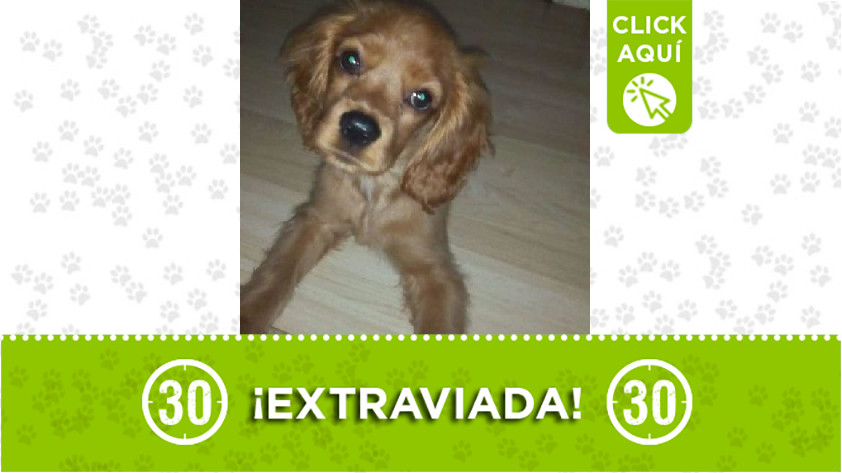 'Salma' perdida en Buenos Aires