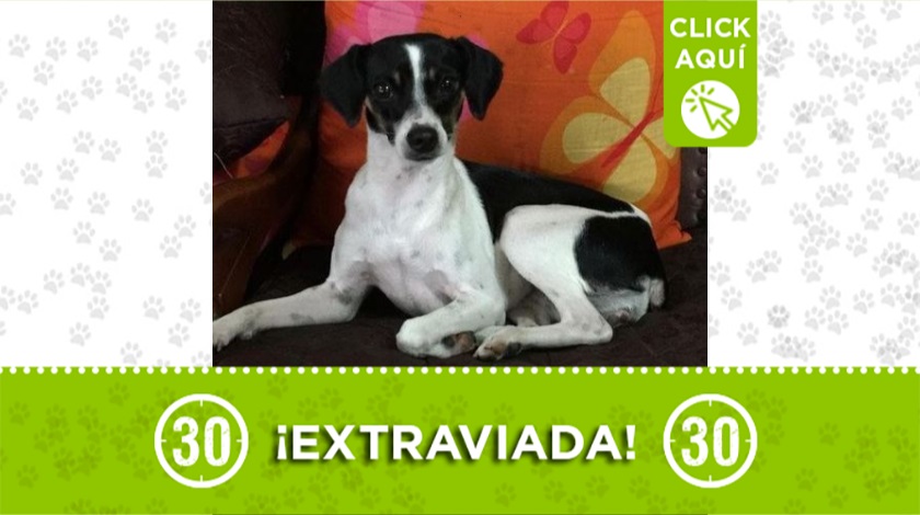 'Tania' perdida en Copacabana