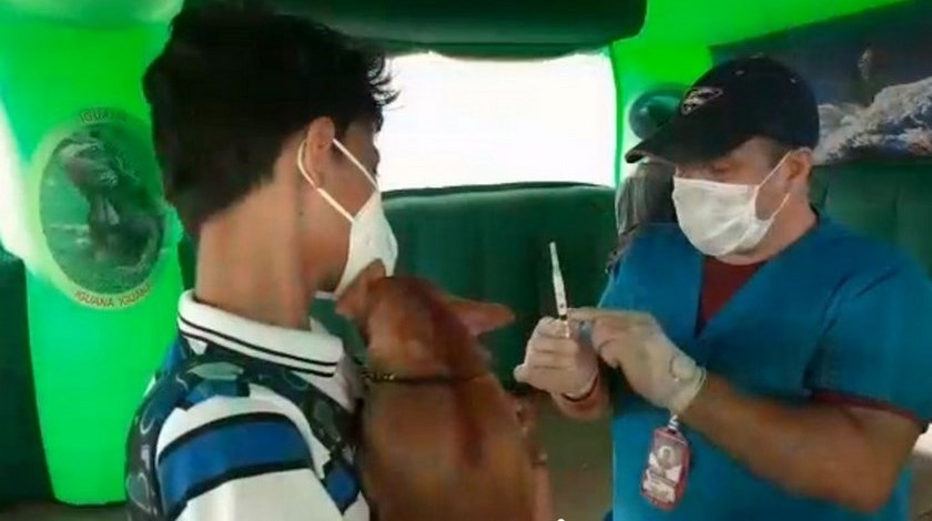 Más de 200 mascotas han sido vacunadas en el Urabá en esta época de pandemia