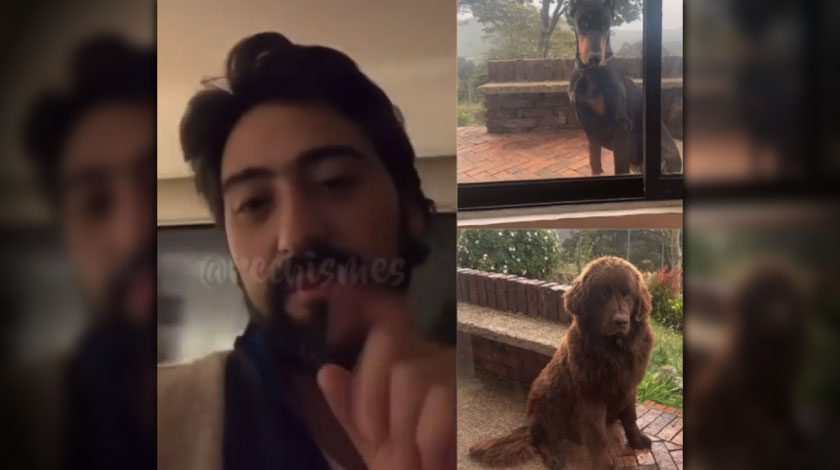 ¿Maltrato animal?, Variel  Sánchez se defiende de las críticas por mostrar a sus mascotas a la intemperie