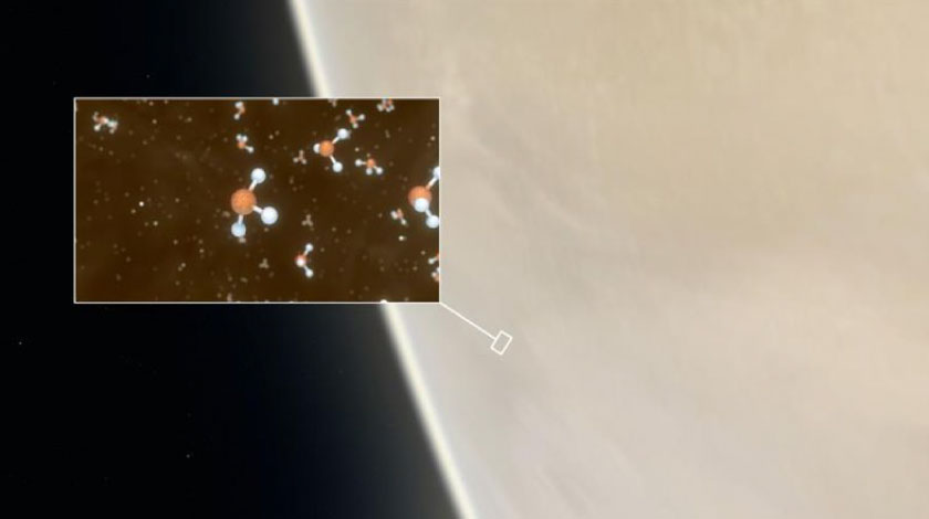 venus