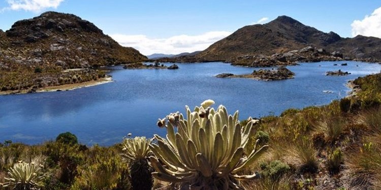 Minesa apelará decisión de la Anla de archivar el proyecto ‘Soto Norte’