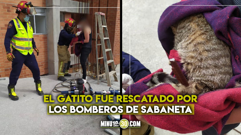 FOTOS: ¡Qué impresión! Un gatico se cayó de un piso 18 y se empaló en una varilla