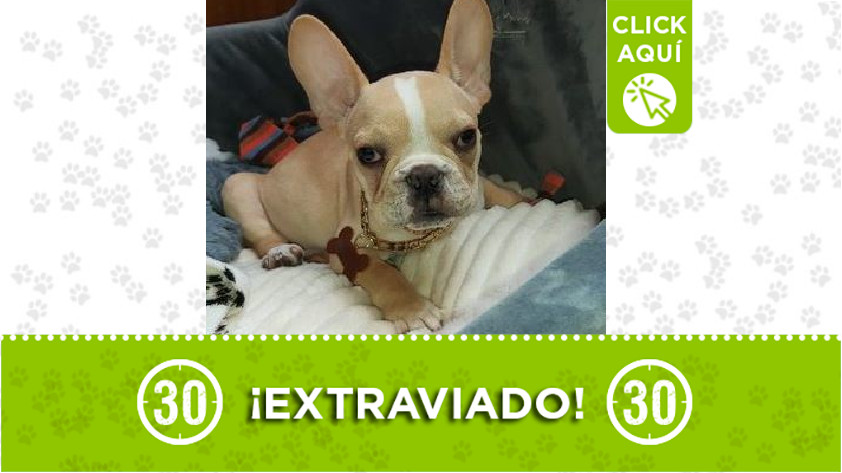 'Apolo' perdido en San Cristóba