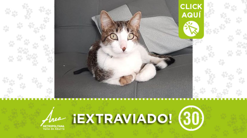 'Simón' se perdió por el Parque del Artista en Itagüí