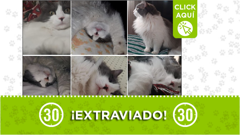 'Garabato' perdido en Guayabal