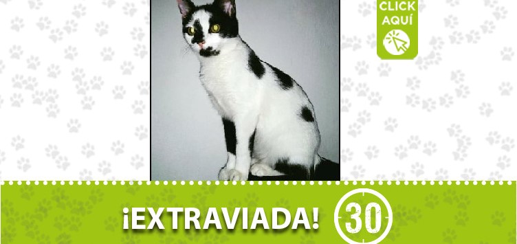 'Lincy' perdida en Envigado