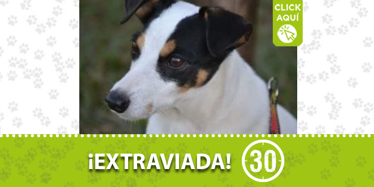 'Luz' perdida en Cristo Rey