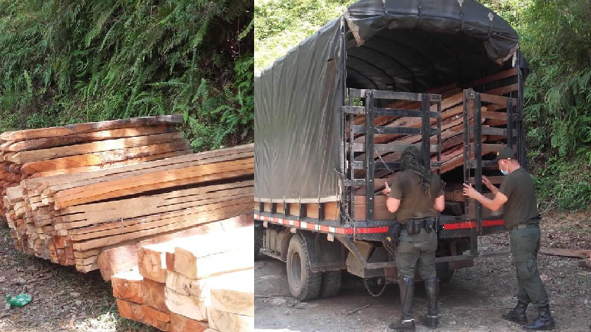 Incautación madera nativa
