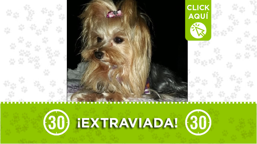 'Martina' perdida en Santa Fe de Antioquia