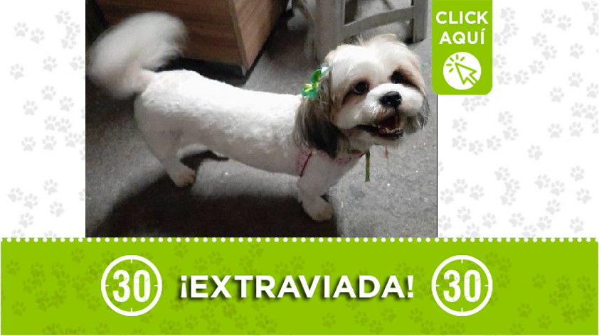 'Martina' perdida en el Doce de Octubre