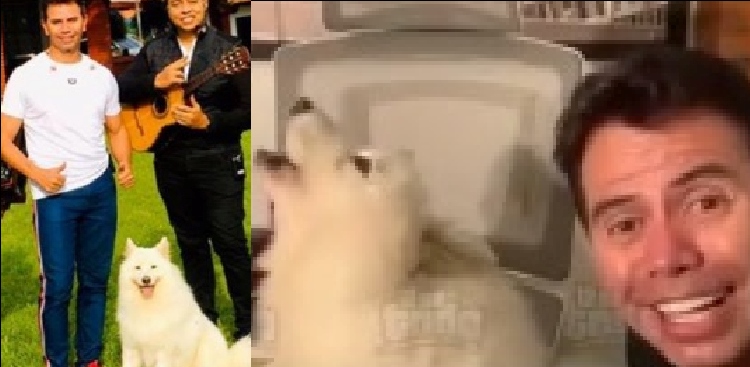VIDEO: ¡También ‘canta’! Mascota de Jhonny Rivera causó sensación en redes sociales con su gran ‘talento’