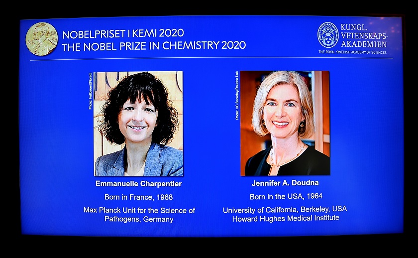 Nobel de Química 2020 por rescribir el código de la vida con herramienta genética