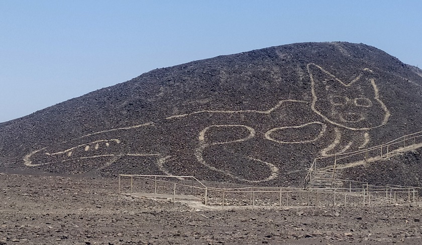 Un gato de unos 37 metros es la nueva figura encontrada en la Pampa de Nazca