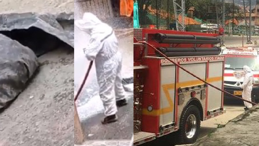VIDEOS: ¡Pobre hombre! Panal de abejas se ensañó con un obrero en Itagüí y tuvo que ser trasladado a un hospital