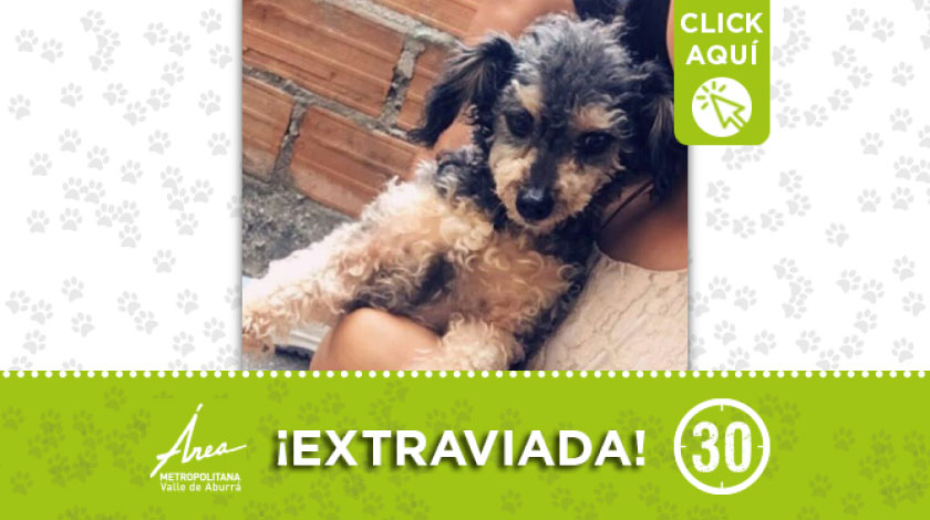 'Lupita' se extravió