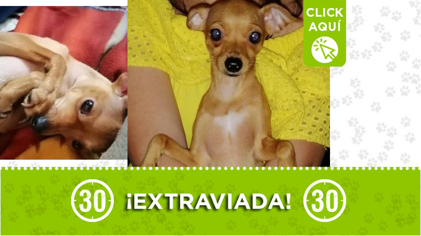 'Gitana' perdida en La Estrella