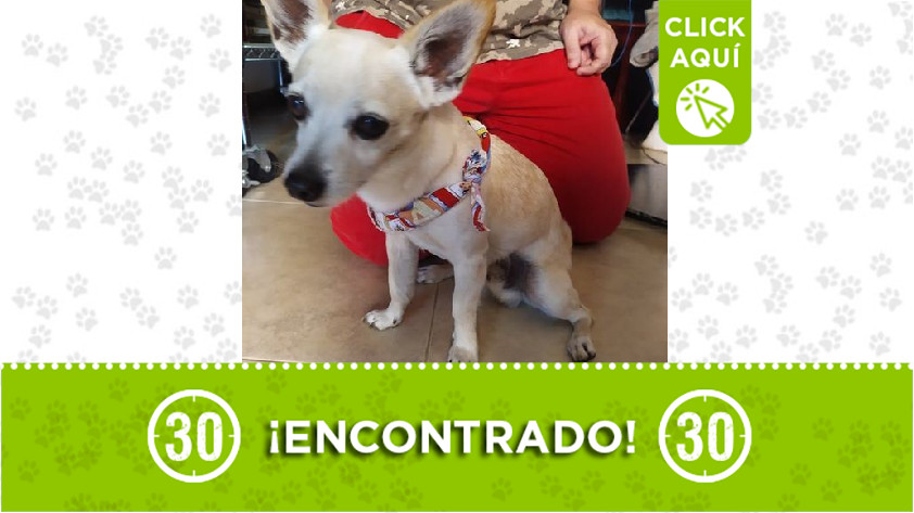 Encontrado en Pilarica