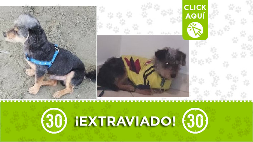 'Pimpón' perdido en Boston