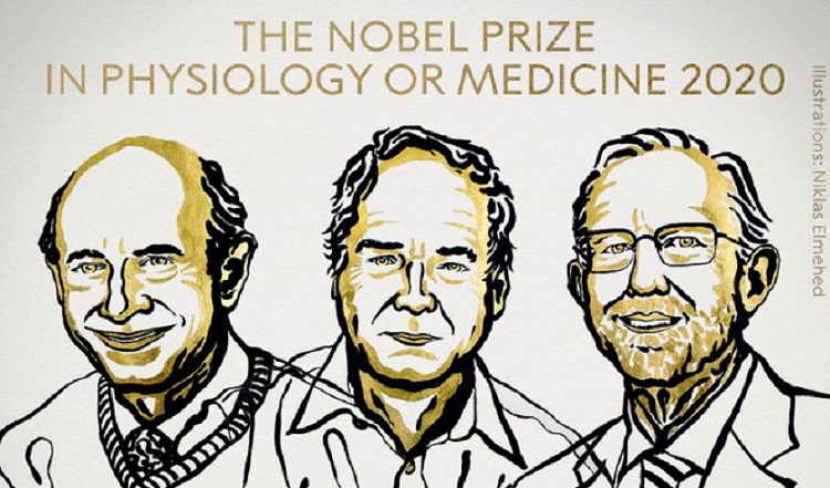 Nobel de Medicina para los descubridores de la Hepatitis C