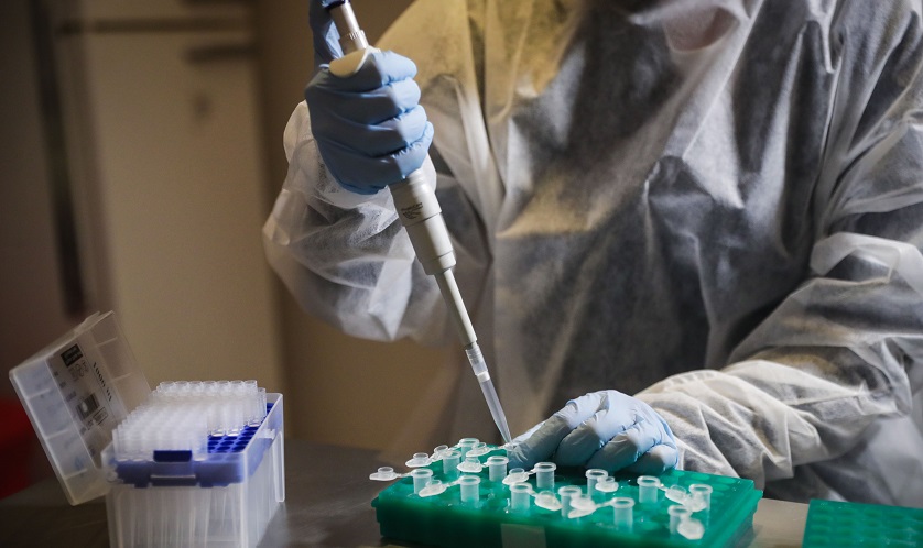 Identifican mutación del coronavirus que se expandió por Europa desde España: El mundo suma 40,4 millones de casos de COVID y suma 1,1 millones de fallecidos