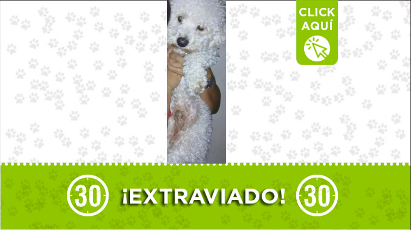 “Roky” se perdió en el barrio Alfonso López