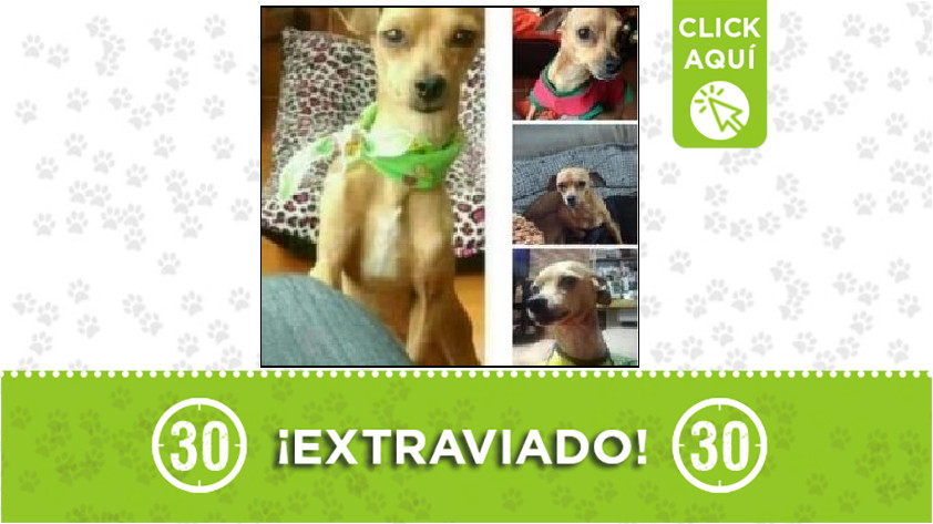 'Teo' perdido en Manrique Central