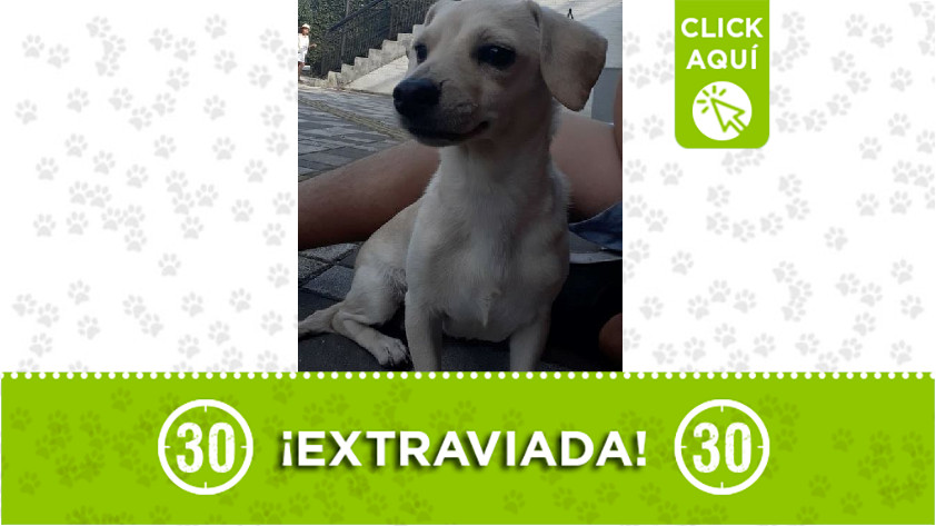 'Tequila' perdida en Manrique